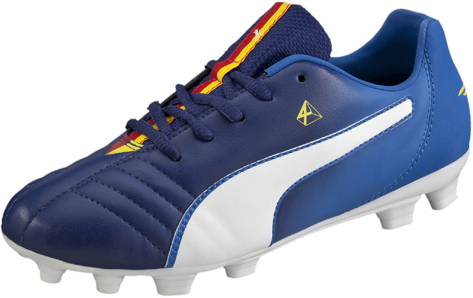 Puma discount evo kids